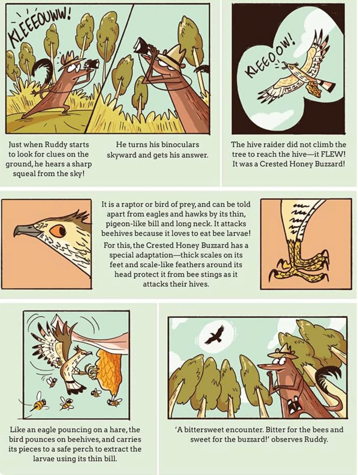 Naturalist Ruddy: Adventurer. Sleuth. Mongoose.